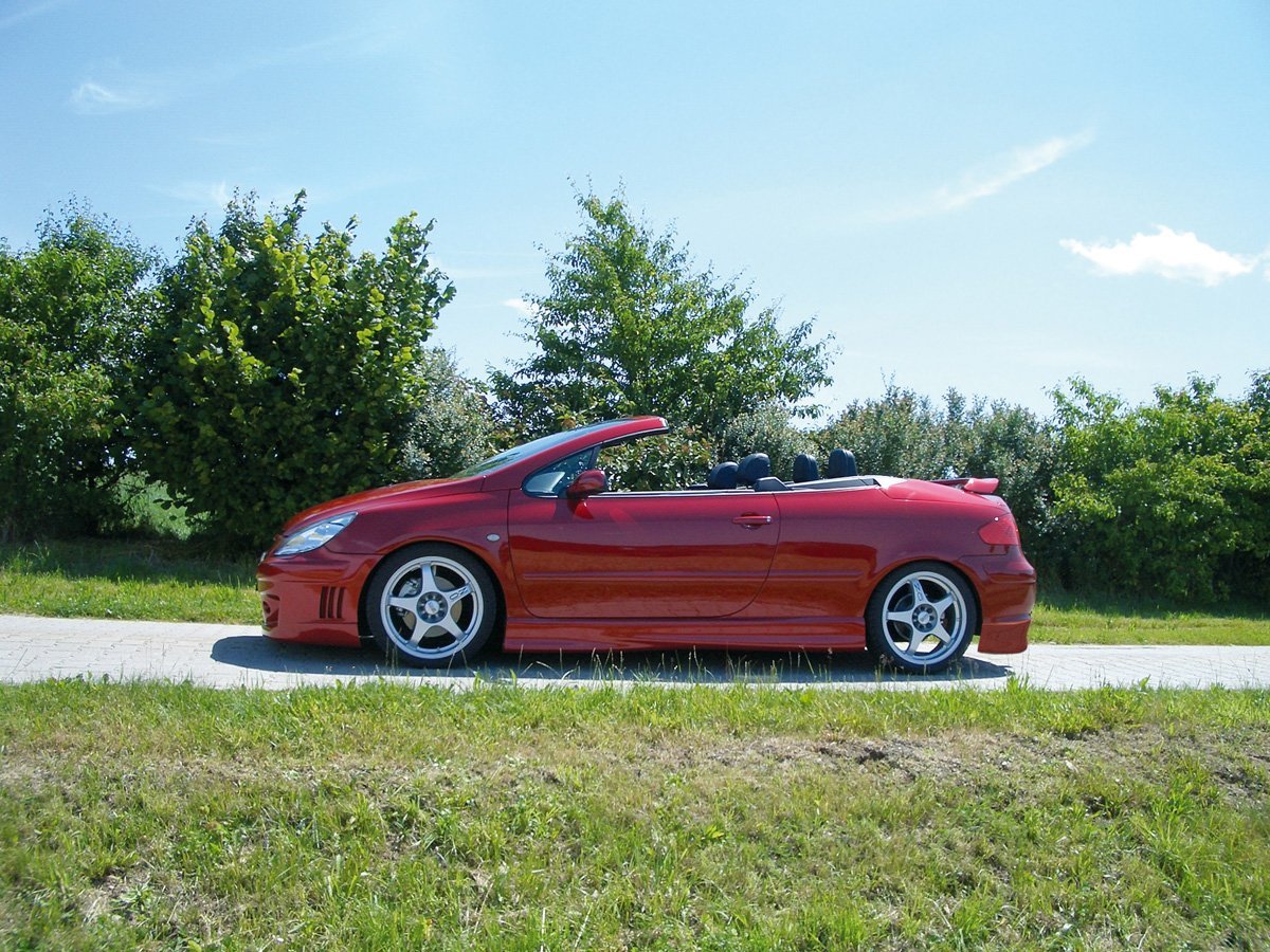 Peugeot 307 Rieger Seitenschweller für 2- und 4-türer, nicht für SW rechts, ABS,
inkl. Gutachten, Montagezubehör