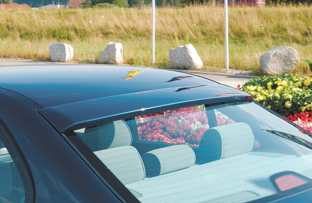 BMW 5er E39 Rieger Heckscheibenblende ABS,
inkl. Gutachten, Montagezubehör