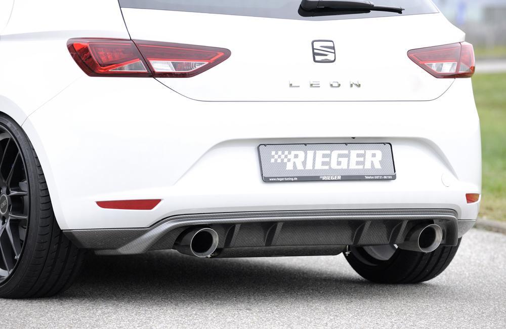 Seat Leon (5F) Friedrich Gruppe A Duplex-Anlage li/re, je 1x100mm 1.2l TSI 63/77/81kW 1.4l TSI 90/92/103/110kW links, rechts, 1x100mm, abgeschrägt, breite Kante (Typ 51), Edelstahl,
inkl. Montagezubehör, Gutachten