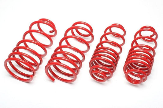 TA Technix Federn passend für Mercedes Benz A-​Klasse 220+250 Multilink Hinterachse W177 20/25mm