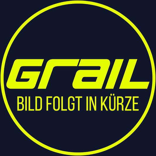 Grail Auspuffanlage Audi R8 V10 OPF