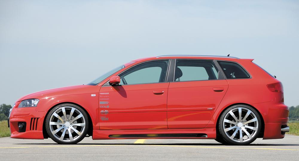 Audi A3 (8P) Rieger Seitenschweller  links, mit Schacht, mit Ausschnitt, ABS, Carbon-Look, 
inkl. Alugitter, Montagezubehör, ABE