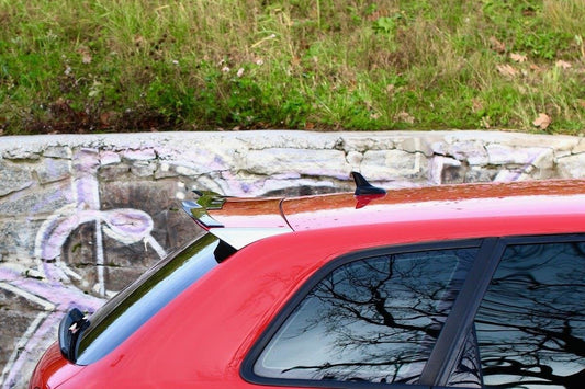 Spoiler CAP für Audi RS3 8P Carbon Look