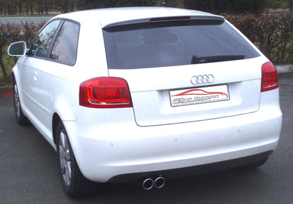Gr.A Rennsportanlage Audi A3 8P Frontantrieb
