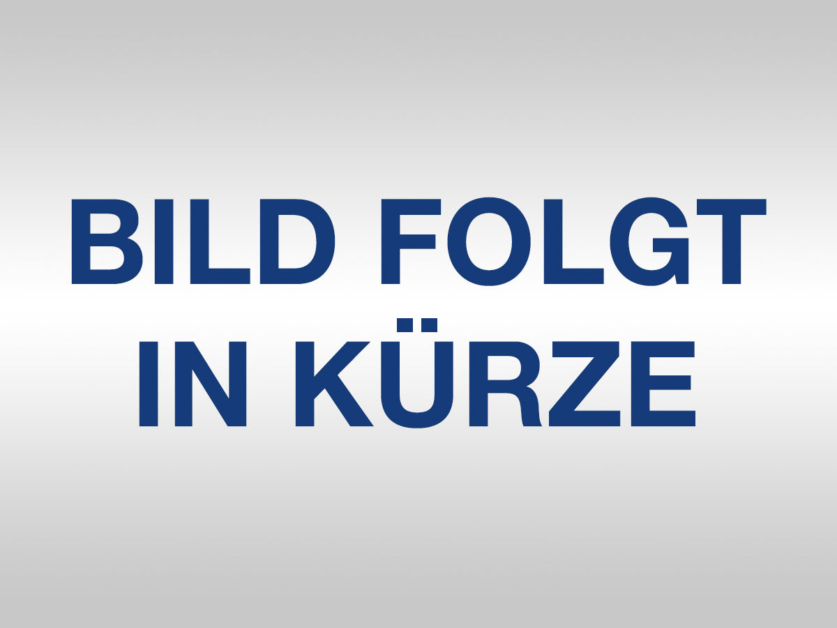 Sportsitz Set gebraucht Las Vegas Kunstleder schwarz/silber Rücken aus GFK