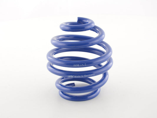 FK Rennsport Ersatzteil Hauptfeder für FK Gewindefahrwerke HA Feder