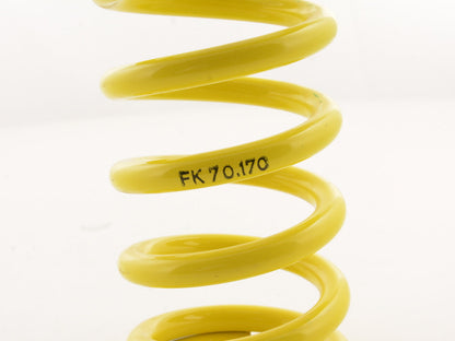 FK Rennsport Ersatzteil Hauptfeder für FK Gewindefahrwerk AK Street VA