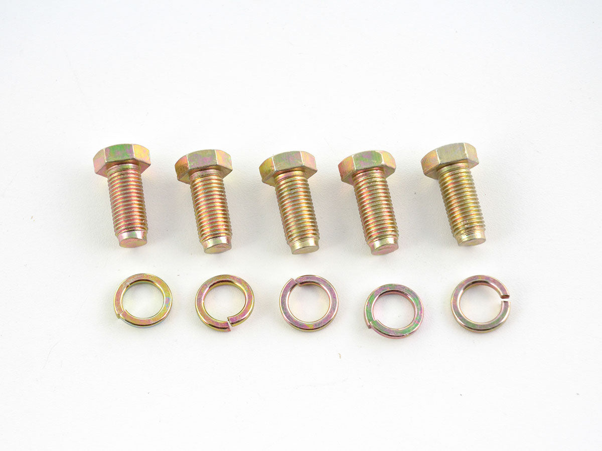 Hosenträgergurt 5-Punkt Gurt Renngurt universal grün