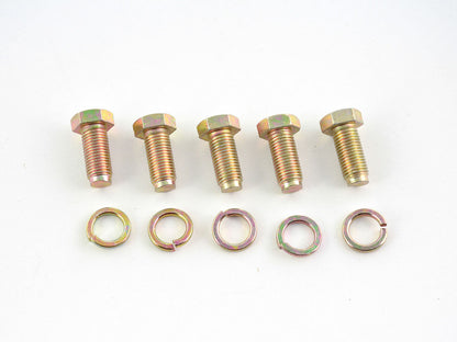 Hosenträgergurt 5-Punkt Gurt Renngurt universal grün