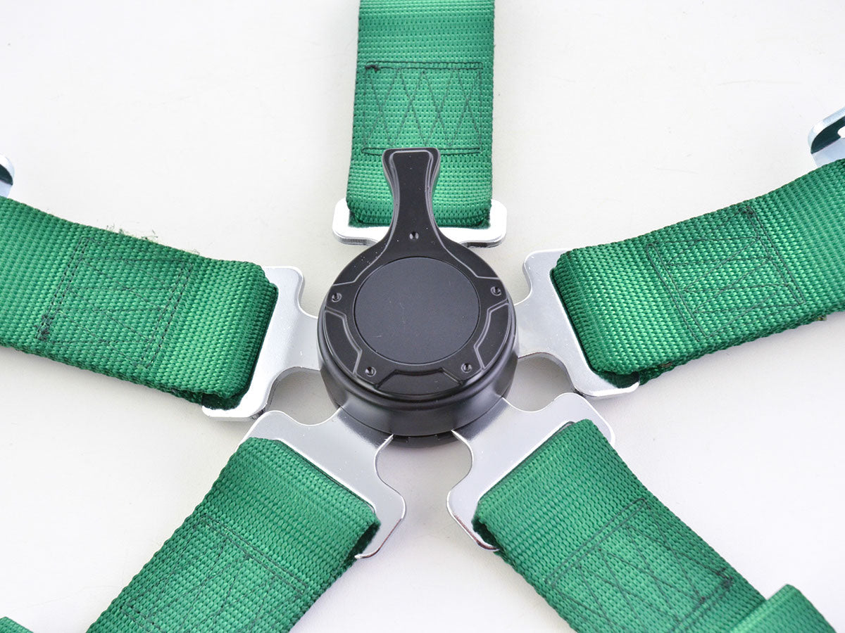 Hosenträgergurt 5-Punkt Gurt Renngurt universal grün